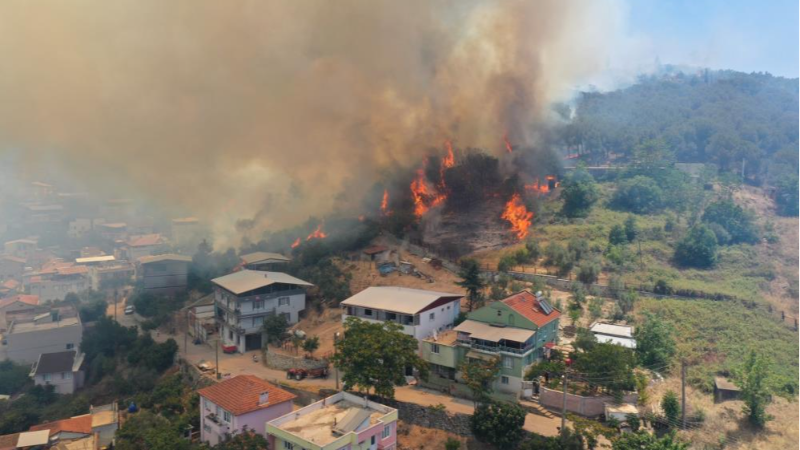 Acı sözler; 3 kuruş için...