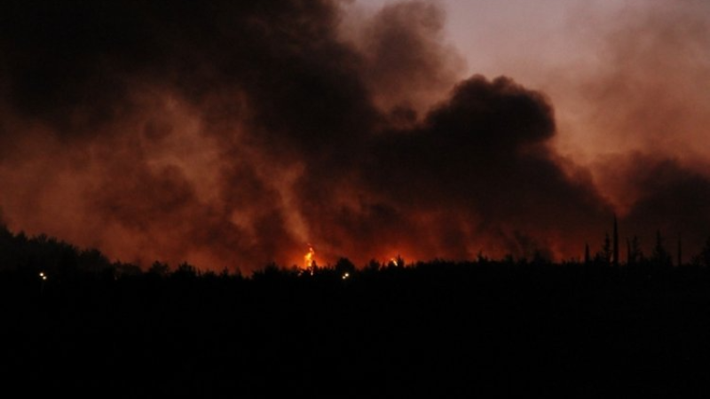 İzmir'de orman yangını yerleşim yerine ulaştı!
