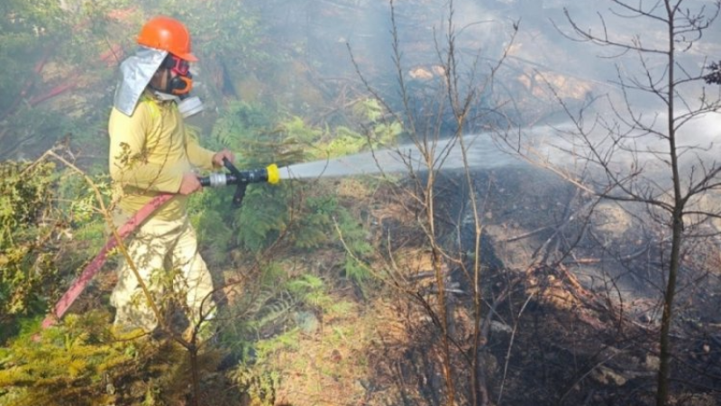 Bursa Uludağ'da yangın; Kontrol altına alındı...
