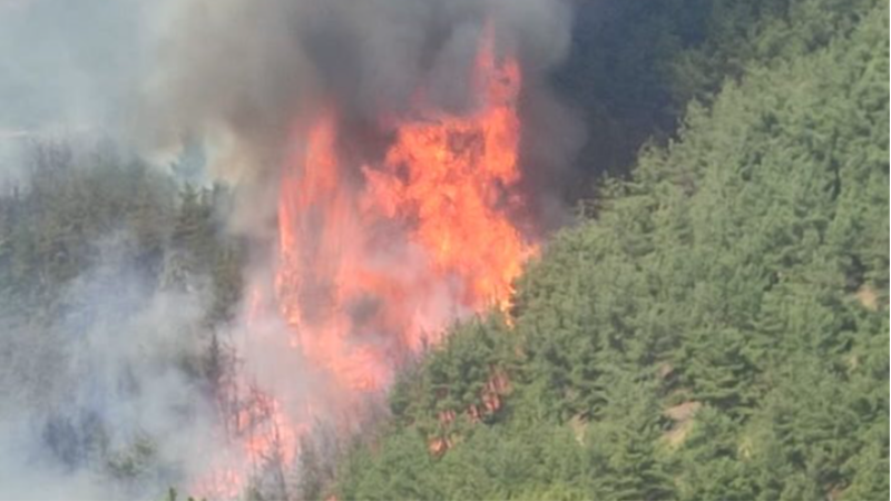 Bursa'da alevler yeniden yükselmeye başladı!