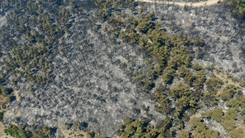 Bursa Harmancık'ta yangın kontrol altına alındı mı?