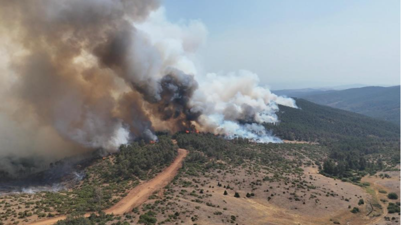 Bursa Harmancık'ta 712 araç 1496 personel yangın için mücadele ediyor