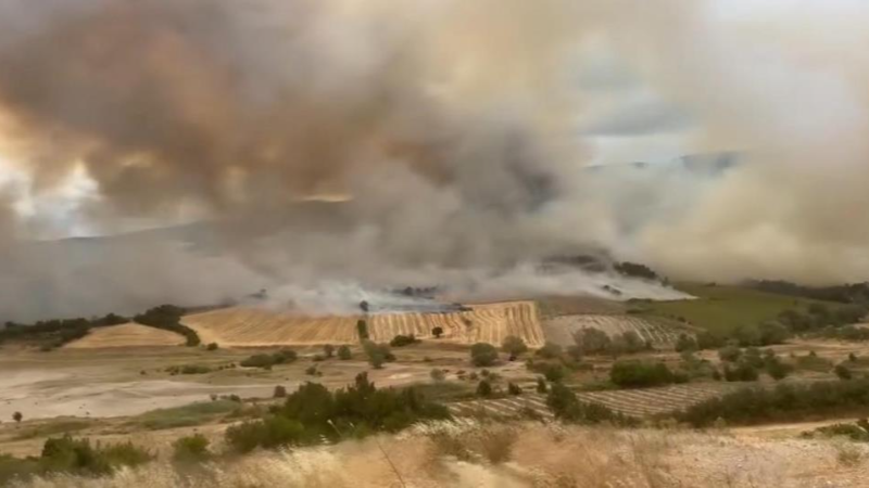 Bursa Yenişehir'de yangın; Müdahale sürüyor