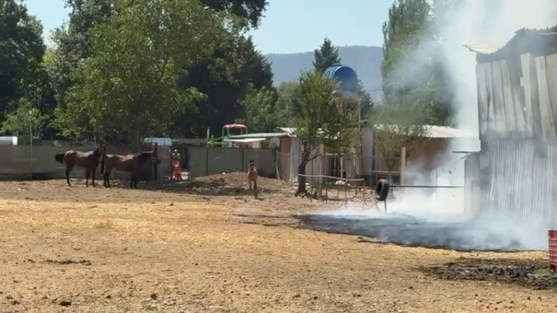 Bursa'da hayvan çiftliğinde korkutan yangın!