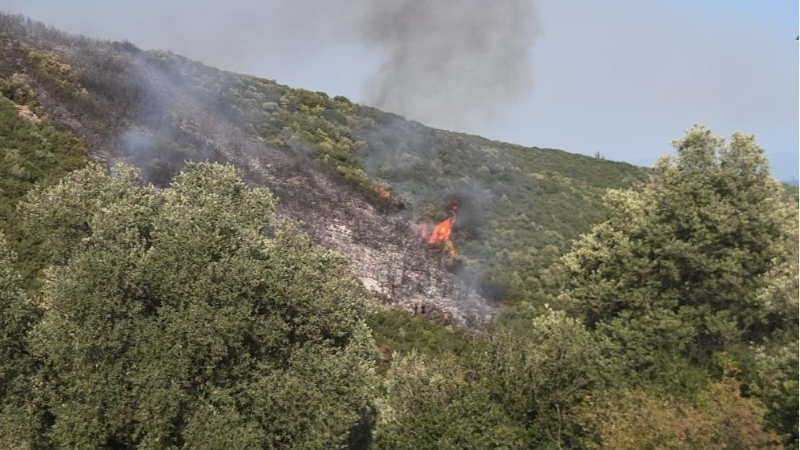 Bursa'daki yangını ile ilgili 1 kişi gözaltına alındı