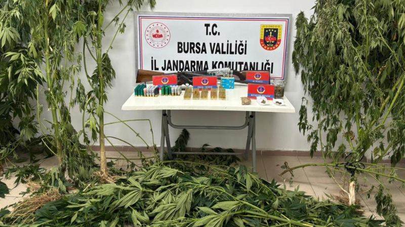 Bursa’da jandarmadan uyuşturucu operasyonu