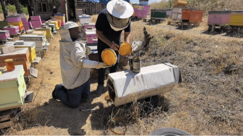 Bursa'da üretilen bu bal diğerlerine benzemiyor