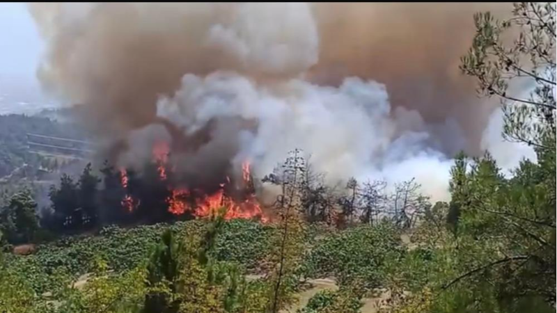 Bursa Gündoğdu'da büyük yangın!