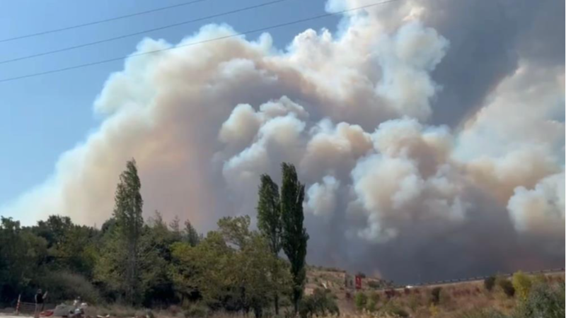 Bursa'daki yangına  3 uçak, 11 helikopter, 242 personel müdahale ediyor