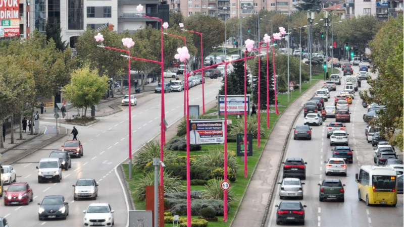 Bursa'da sokak lambaları neden pembe yanıyor?