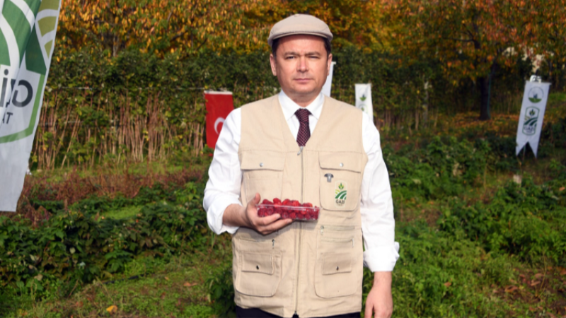 Bursa Osmangazi’de organik tarım seferberliği