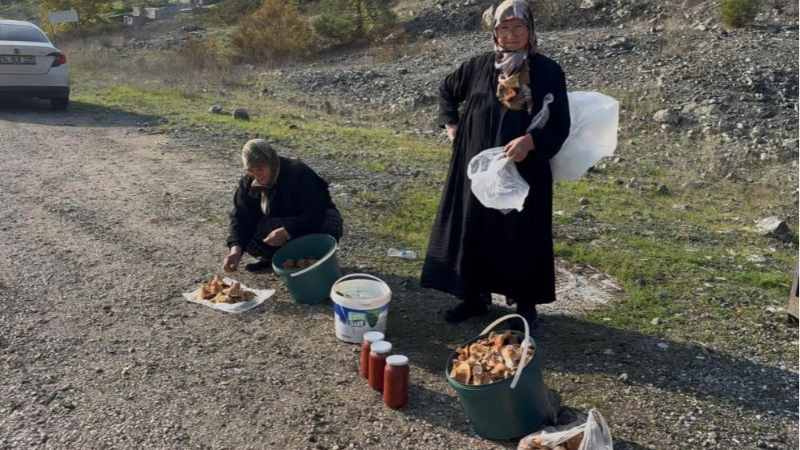 Bursa'da iki yaşlı kadın ekmeğini bakın nasıl çıkarıyor!