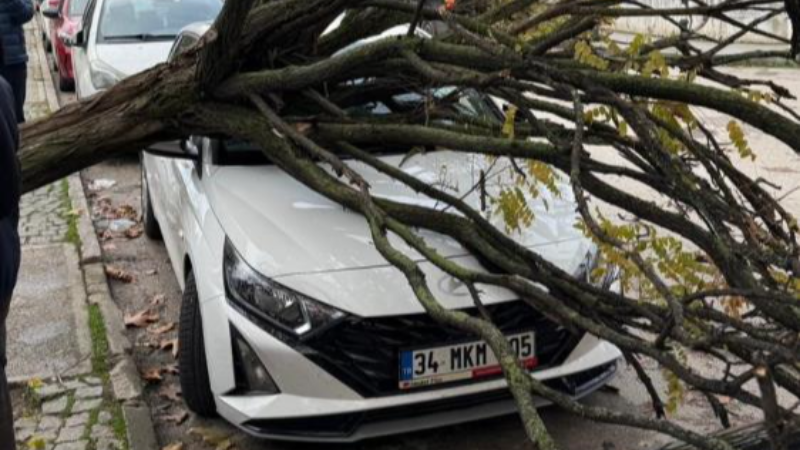 Bursa’da devrilen ağaç aracı bu hale getirdi!