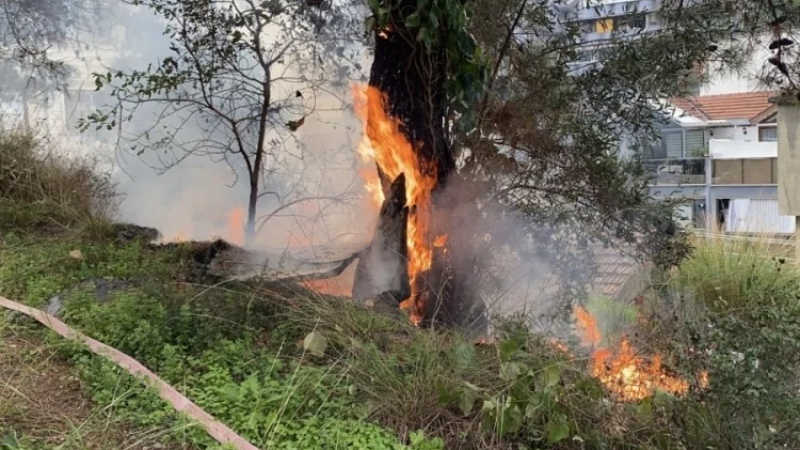 Bursa'da panik anları; Büyümeden söndürüldü