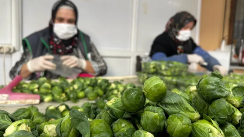 Bursa İznikli çiftçiler zor durumda!